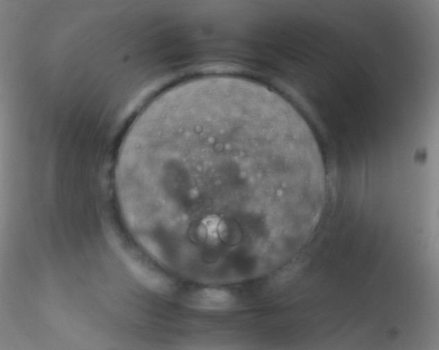 X0000115190159200911251427