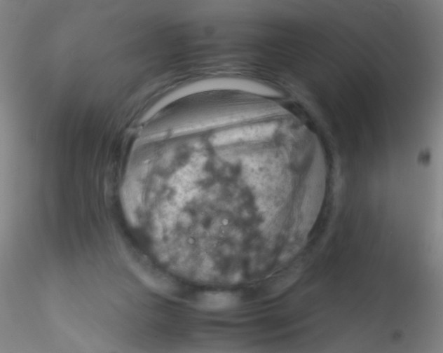 X0000115190161200911251427