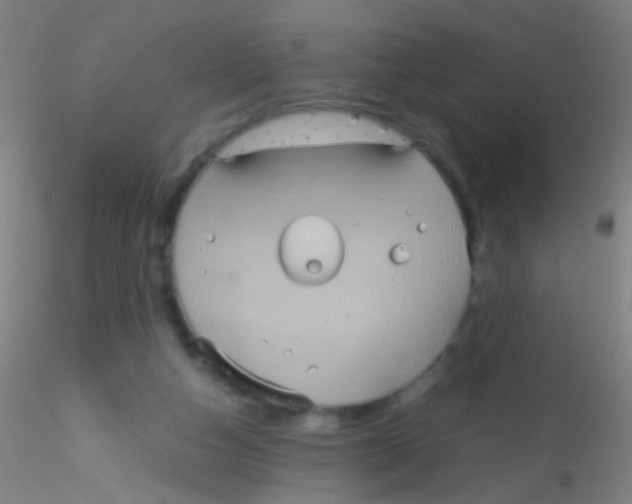 X0000115190162200911251427