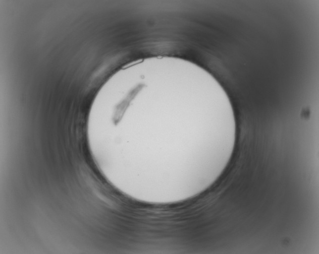 X0000115190165200911251427