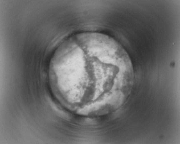 X0000115190166200911251427