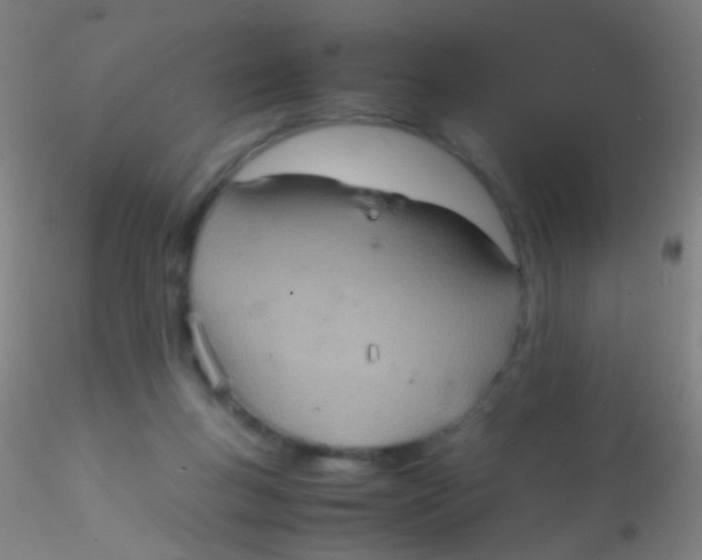 X0000115190167200911251427