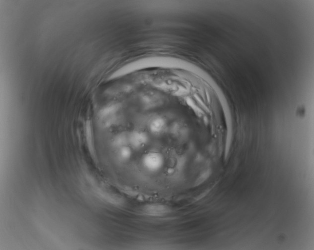 X0000115190169200911251428