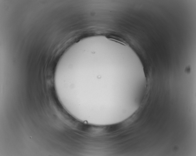 X0000115190170200911251428