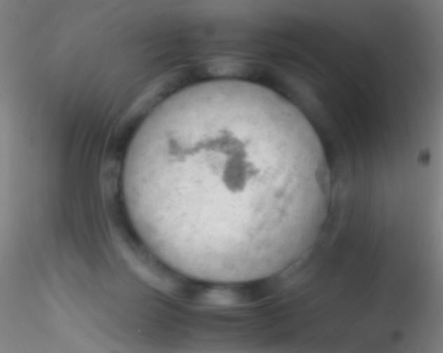 X0000115190171200911251428