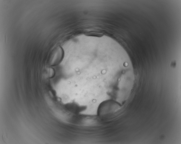 X0000115190175200911251428