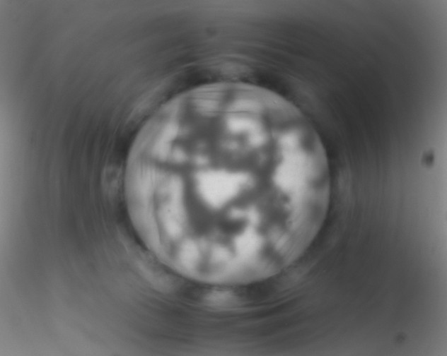 X0000115190177200911251428