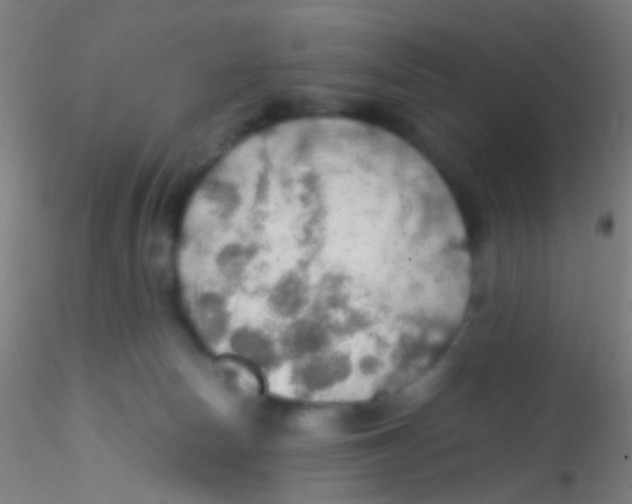 X0000115190178200911251428