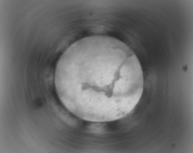 X0000115190179200911251428