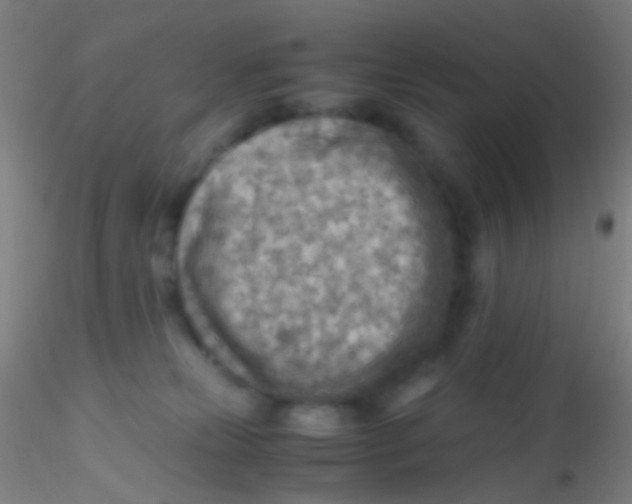 X0000115190181200911251428