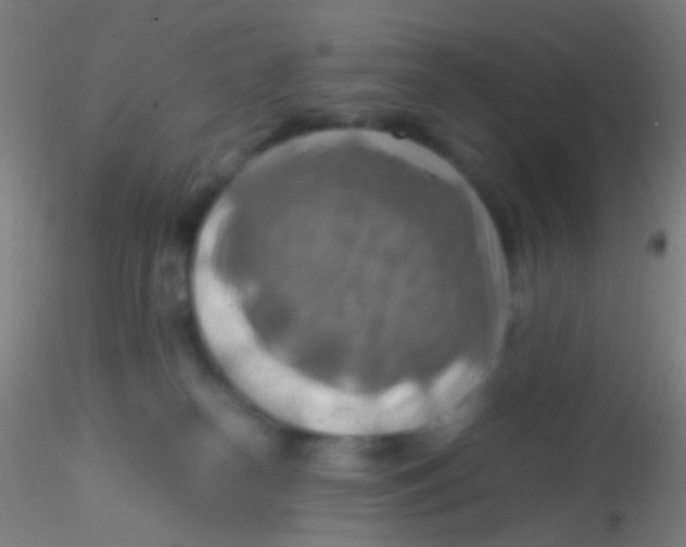 X0000115190182200911251428