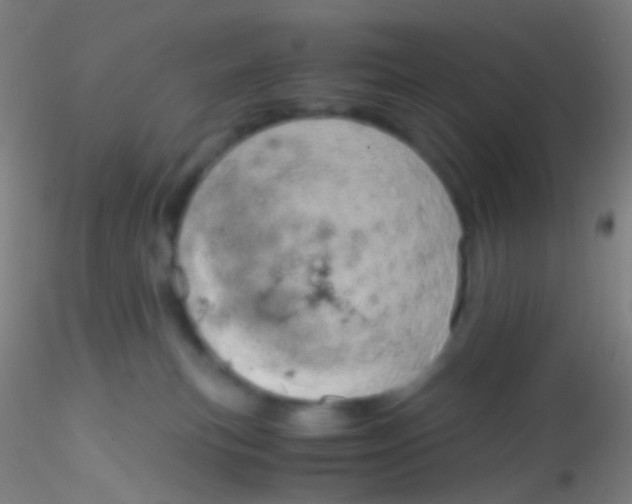 X0000115190183200911251428