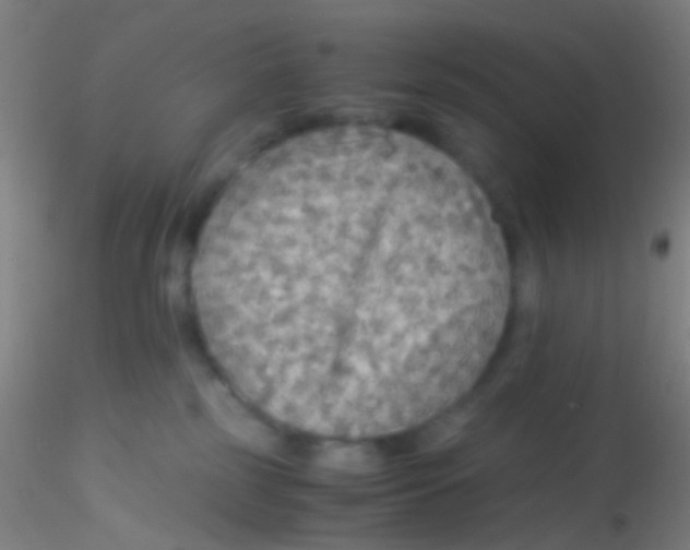 X0000115190185200911251428