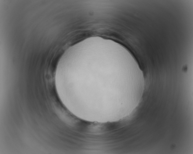 X0000115190186200911251428