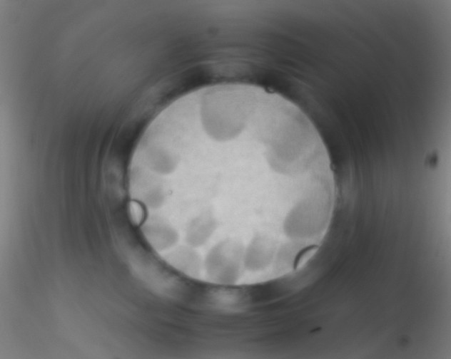 X0000115190187200911251428