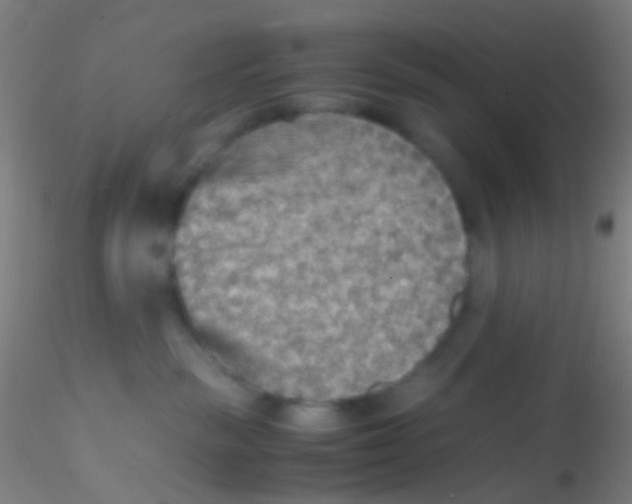 X0000115190189200911251428