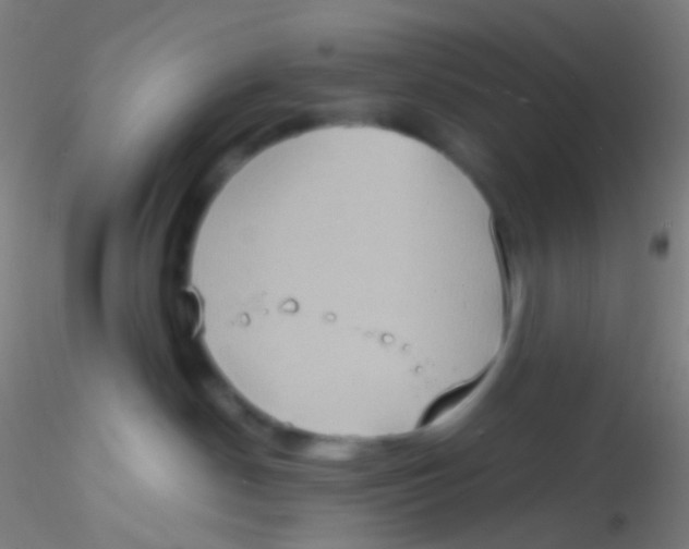 X0000115190190200911251428