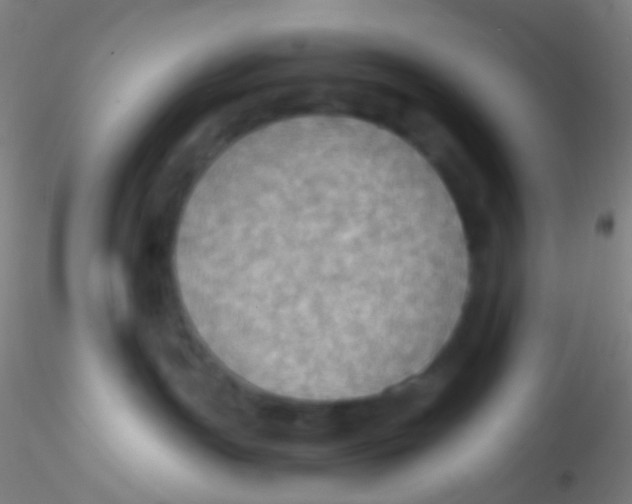 X0000115190191200911251428