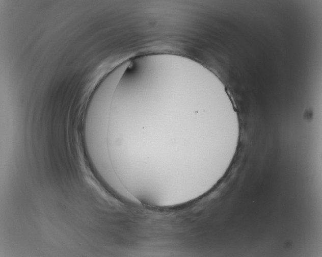 X0000115190193200911251427