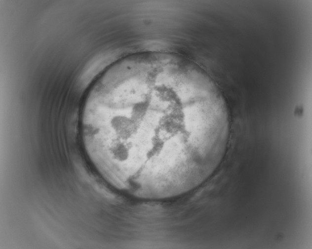 X0000115190194200911251427