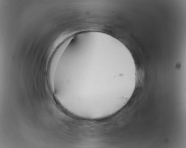 X0000115190195200911251427