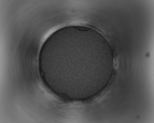 X0000115190196200911251427