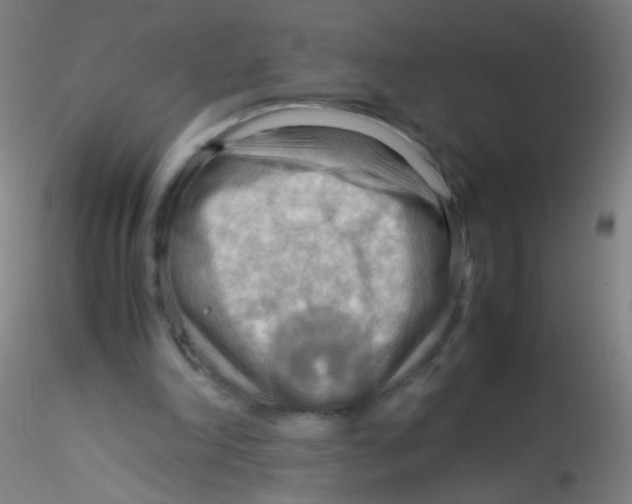 X0000115190198200911251427