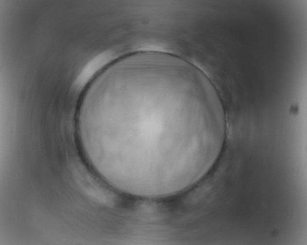 X0000115190199200911251427