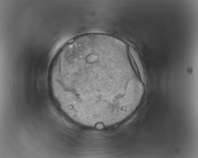 X0000115190200200911251427