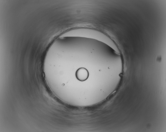 X0000115190201200911251427