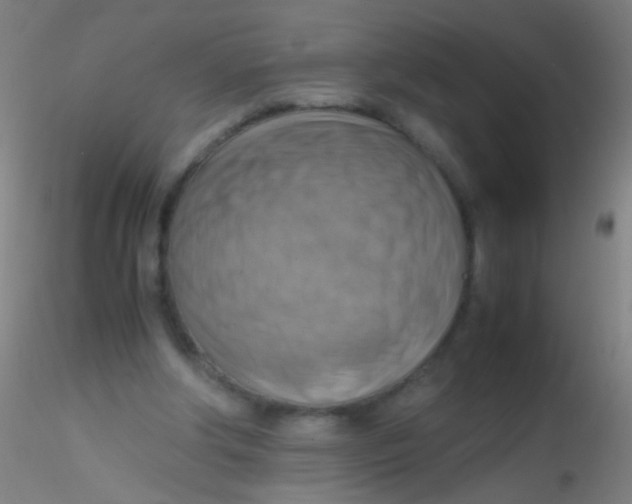 X0000115190202200911251427