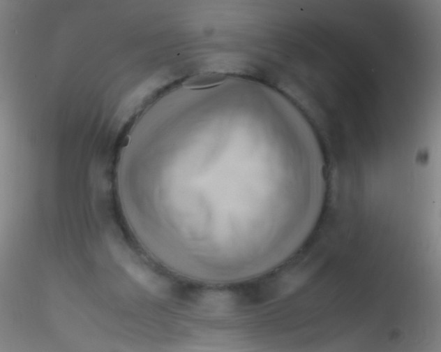 X0000115190203200911251427