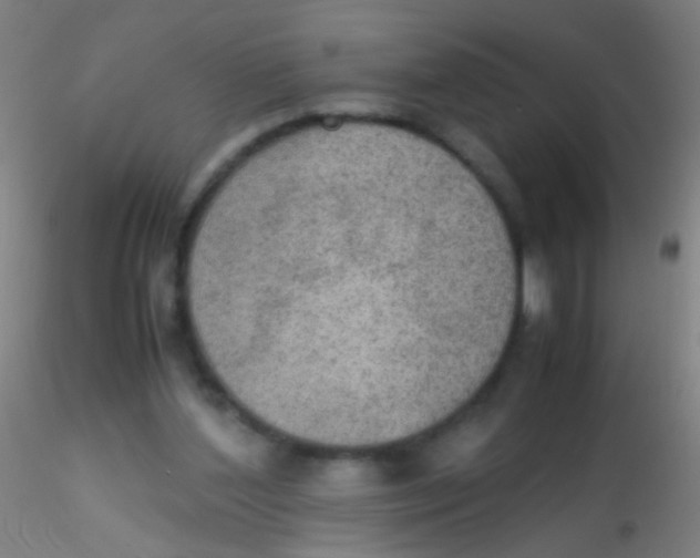 X0000115190204200911251427