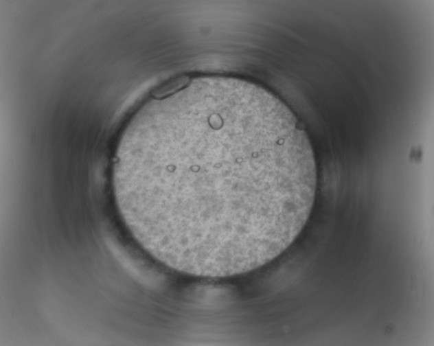 X0000115190208200911251427