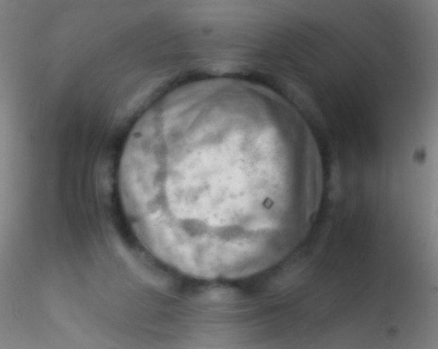 X0000115190210200911251427