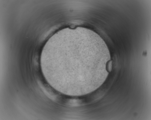 X0000115190212200911251427