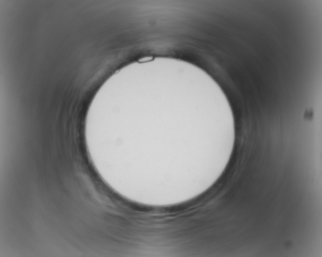 X0000115190213200911251427