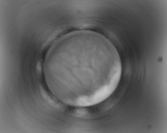 X0000115190214200911251427