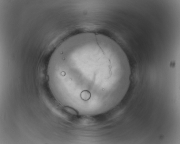 X0000115190215200911251427