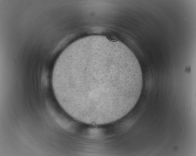 X0000115190216200911251427