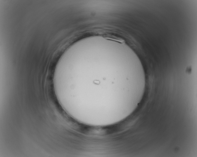 X0000115190217200911251427