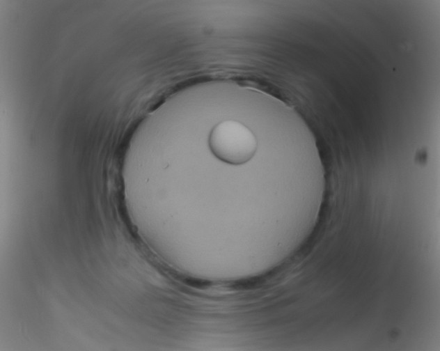 X0000115190219200911251427