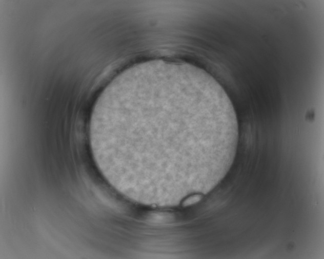 X0000115190220200911251427