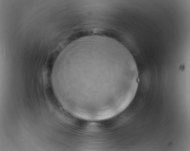 X0000115190222200911251427