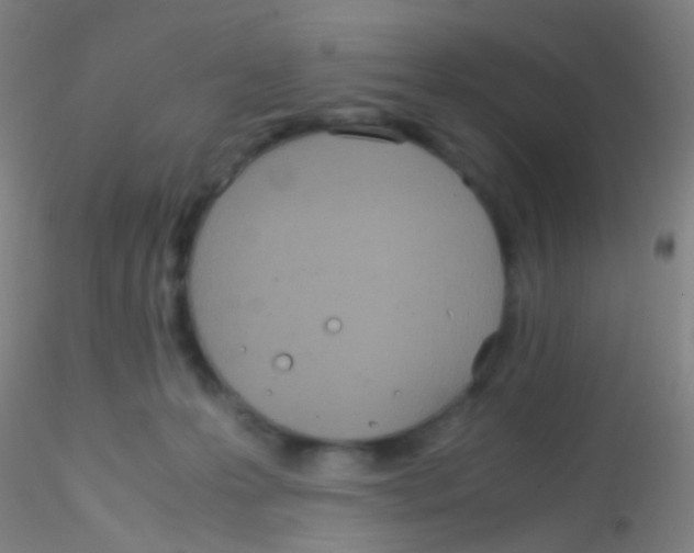 X0000115190223200911251427