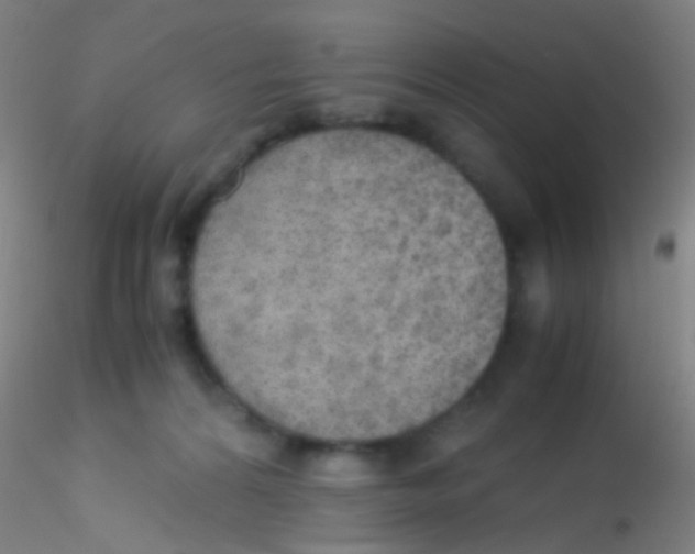 X0000115190224200911251427