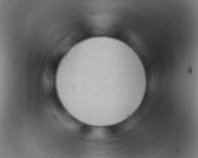 X0000115190226200911251427