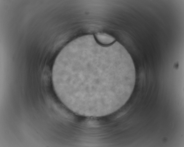 X0000115190228200911251427