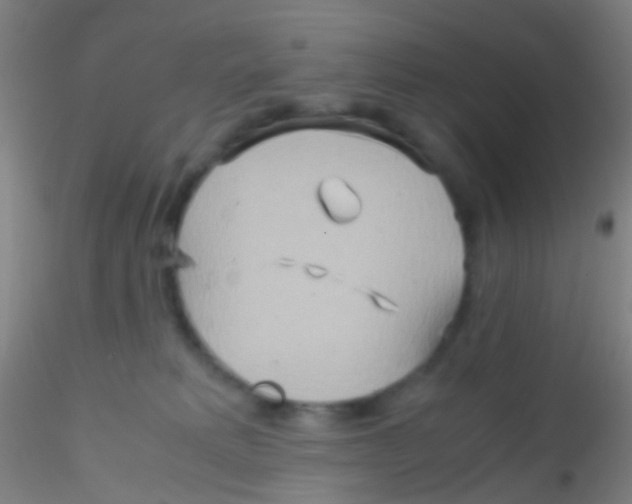 X0000115190229200911251427