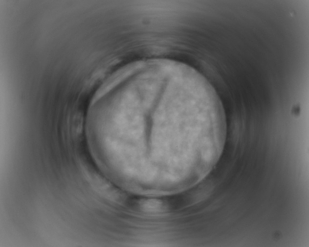 X0000115190230200911251427